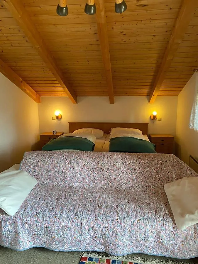 Ferienhaus Im Waldferiendorf Regen